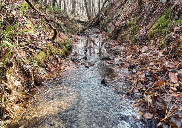 232 Possum Trot Road, Blairsville, GA 30512