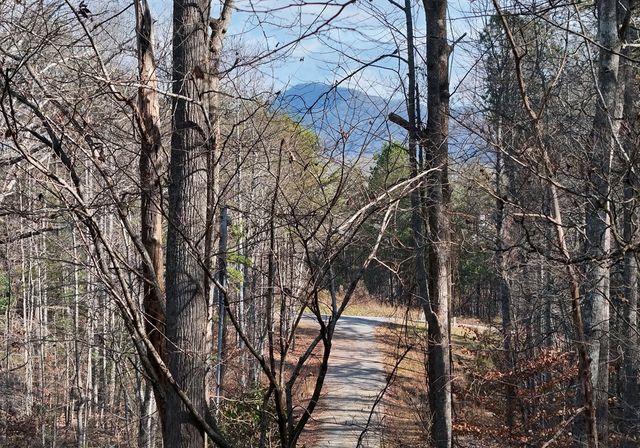 232 Possum Trot Road, Blairsville, GA 30512