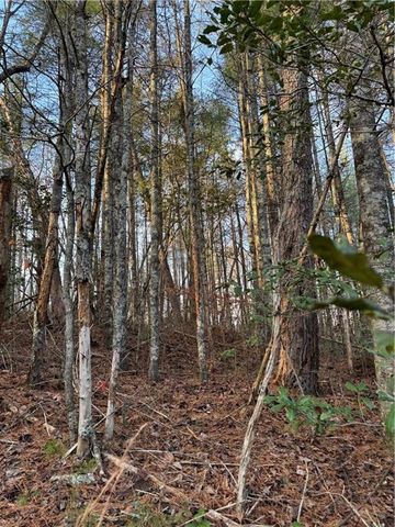 0 Meadowbrook Drive, Ellijay, GA 30540