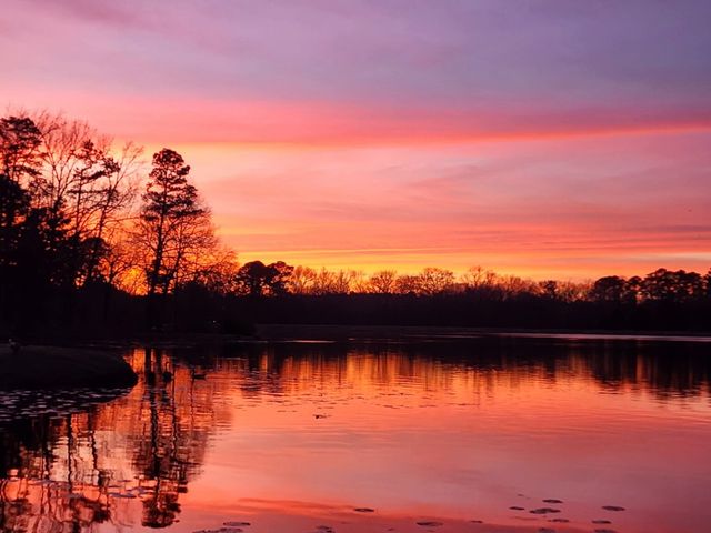 313 PR 8693, Winnsboro, TX 75783