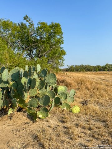 6870 County Road 329 (TRACT 1), Jourdanton, TX 78026