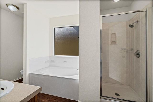 1316 Davis Mountain LOOP, Cedar Park, TX 78613