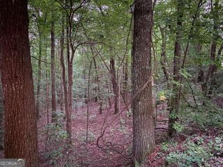 0 Whitecliff Drive, Ellijay, GA 30540