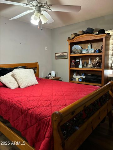 50134 W GAIL Lane, Maricopa, AZ 85139