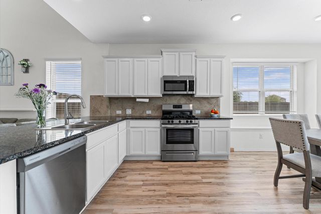 26003 Amber Pearl Drive, Richmond, TX 77406