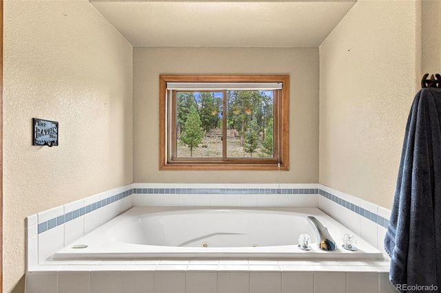 199 Elk Horn Court, Bailey, CO 80421