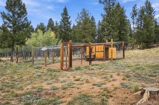 199 Elk Horn Court, Bailey, CO 80421