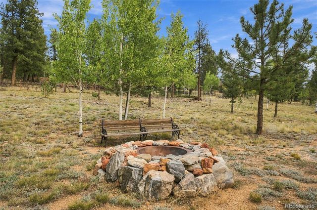 199 Elk Horn Court, Bailey, CO 80421