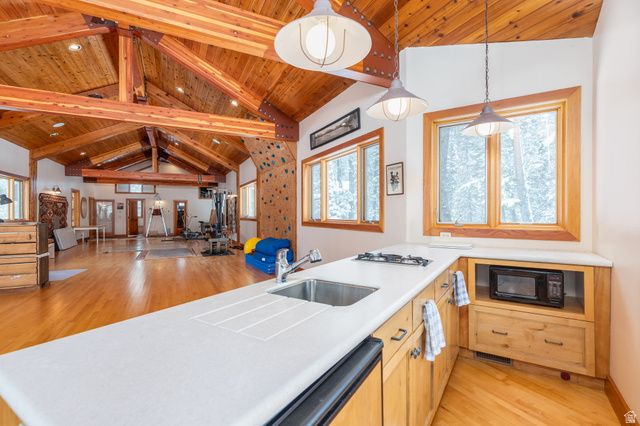 9443 E WILD CLEMATIS LN, Brighton, UT 84121