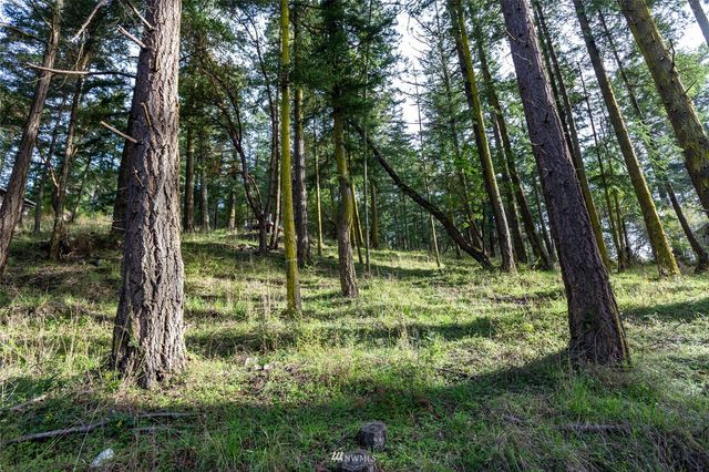 0 Afterglow Drive, San Juan Island, WA 98250