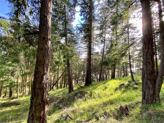 0 Afterglow Drive, San Juan Island, WA 98250