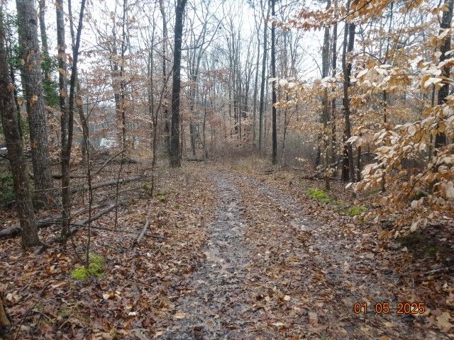 1882 Jordan Rd, Chapmansboro, TN 37035
