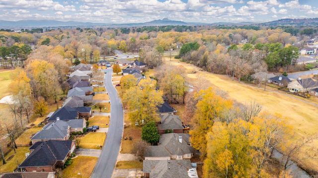 118 Nemours Court, Maumelle, AR 72113