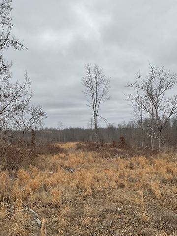 0 Saddleback Dr, Dover, TN 37058