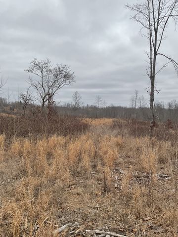 0 Saddleback Dr, Dover, TN 37058