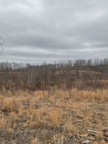 0 Saddleback Dr, Dover, TN 37058