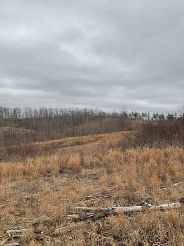 0 Saddleback Dr, Dover, TN 37058