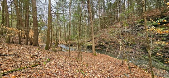 175 Beckwith Road, Southport, NY 14871