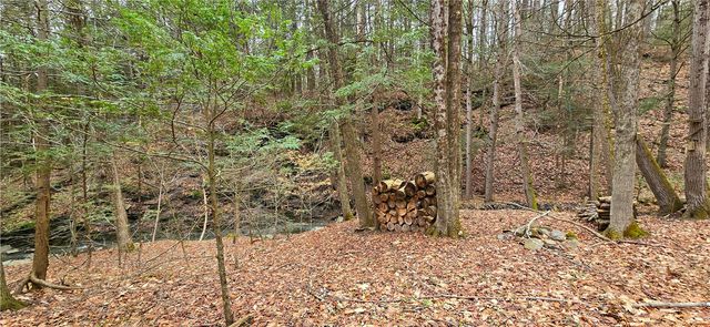 175 Beckwith Road, Southport, NY 14871