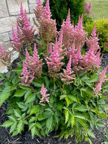 752 E Holland Drive, Bloomington, IN 47401