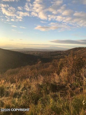 L1-2 B1 Echo Hills, Anchorage, AK 99516
