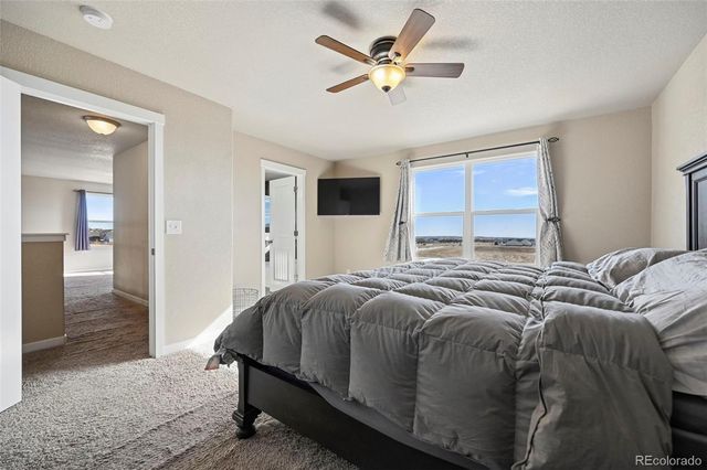 9707 Beckham Street, Peyton, CO 80831