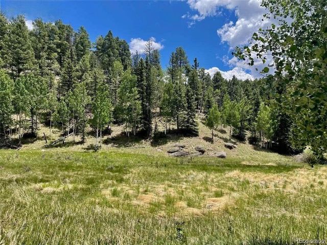 458 Arrowhead Road, Florissant, CO 80816