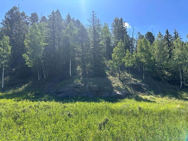 458 Arrowhead Road, Florissant, CO 80816
