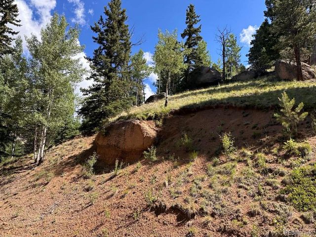 458 Arrowhead Road, Florissant, CO 80816