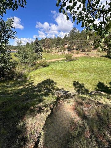458 Arrowhead Road, Florissant, CO 80816