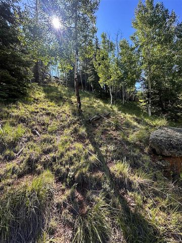 458 Arrowhead Road, Florissant, CO 80816