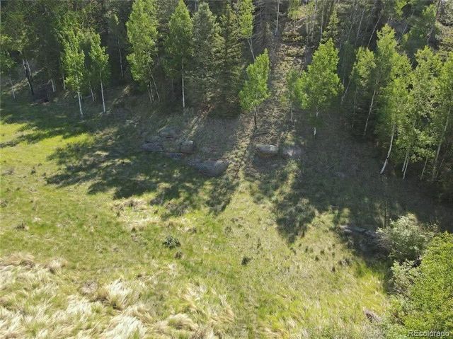458 Arrowhead Road, Florissant, CO 80816