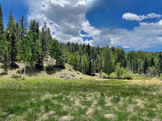 458 Arrowhead Road, Florissant, CO 80816