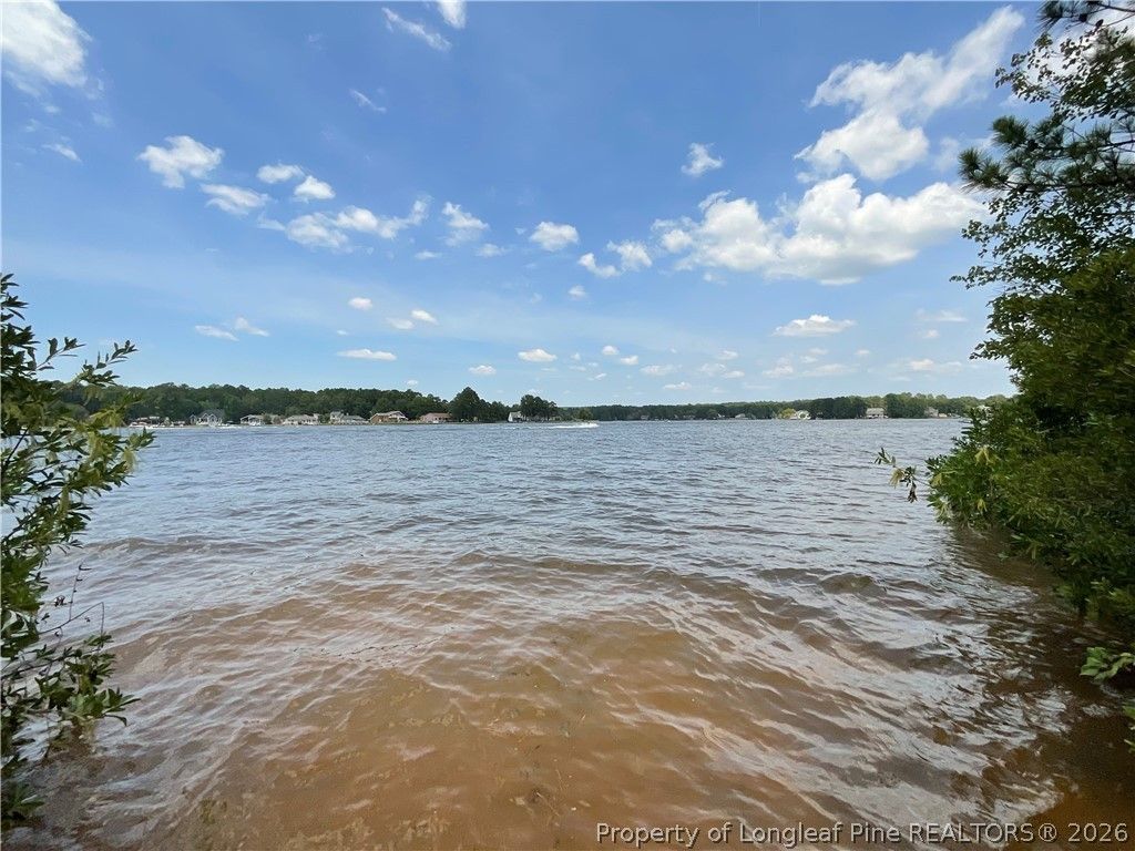 233 Clearview Court, Sanford, NC 27332 — photo 5