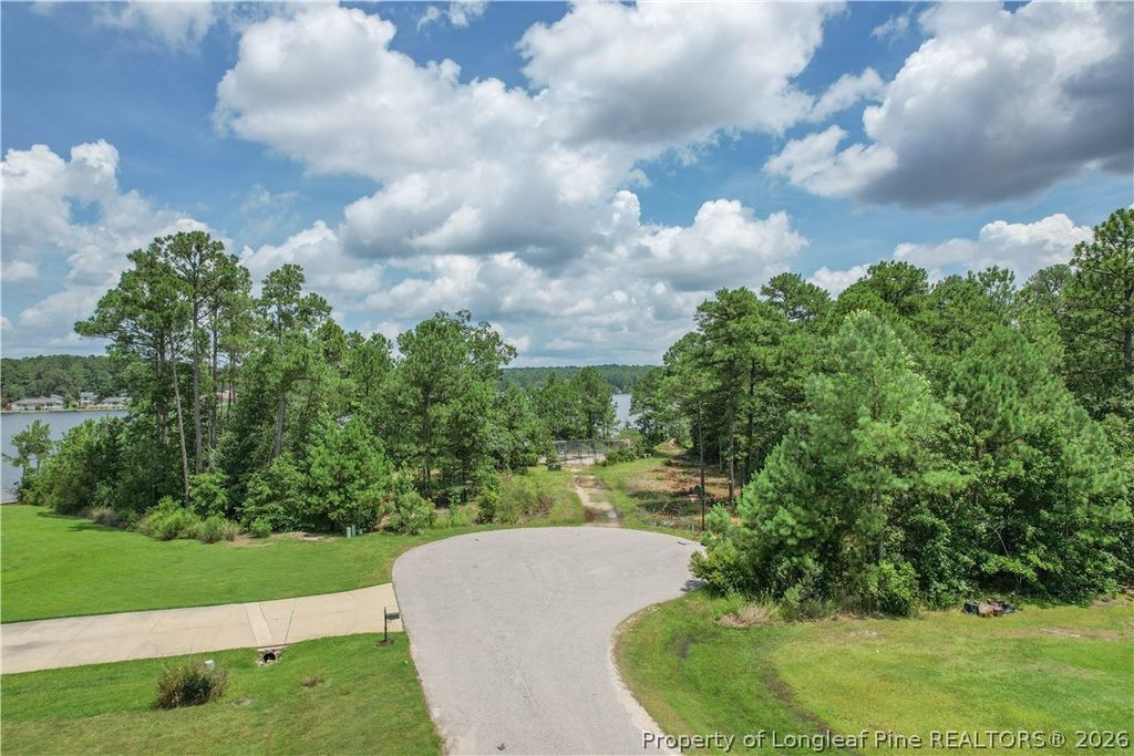 233 Clearview Court, Sanford, NC 27332 — photo 6