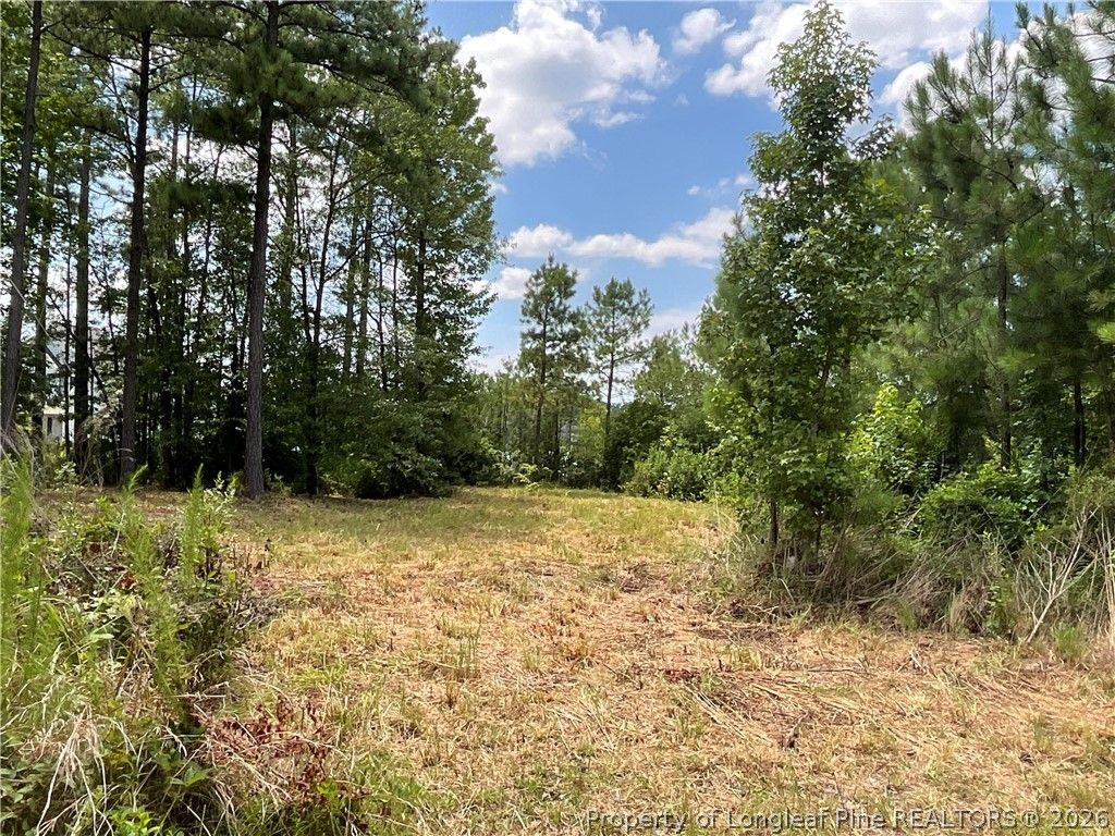 233 Clearview Court, Sanford, NC 27332 — photo 9