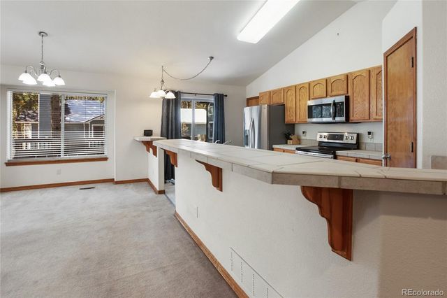 310 Evergreen Street, Woodland Park, CO 80863