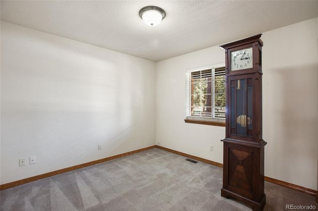 310 Evergreen Street, Woodland Park, CO 80863