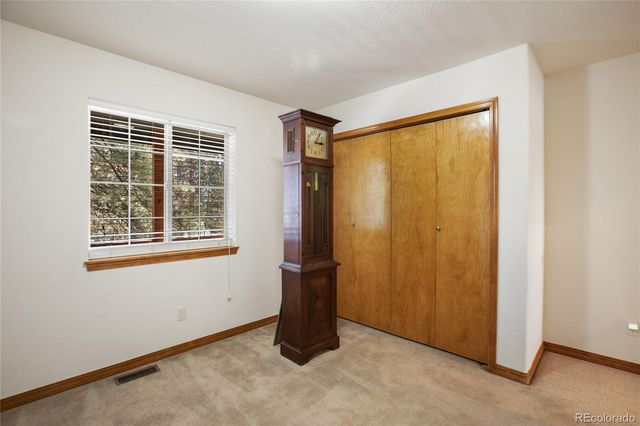 310 Evergreen Street, Woodland Park, CO 80863