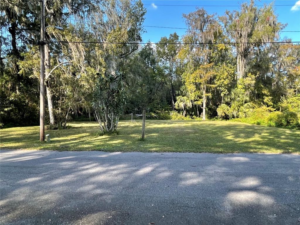 3785 CR 405N, Lake Panasoffkee, FL 33538