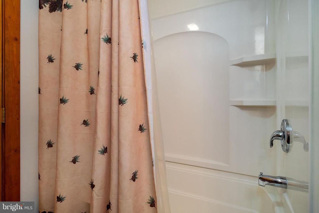 Image 45 of property listing at 392 DEER RUN LN, Swanton, MD 21561
