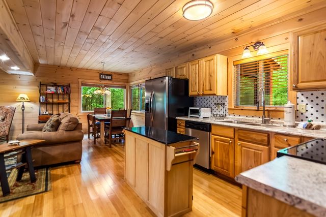 661 Evergreen Lane, Mineral Bluff, GA 30559