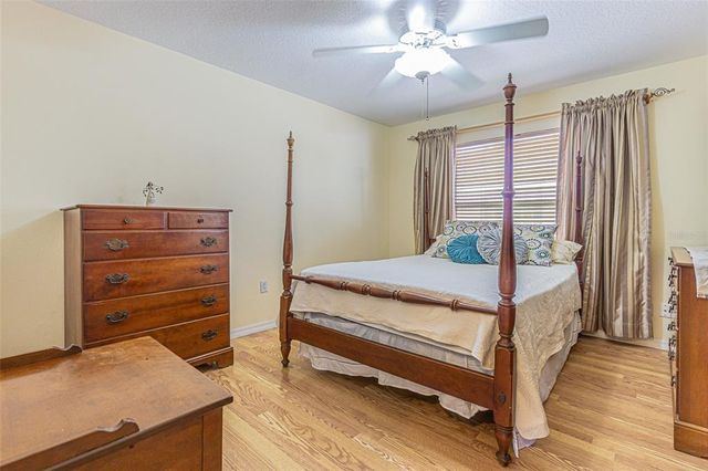11311 COREY PAVIN LANE, San Antonio, FL 33576