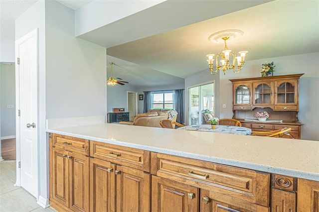 11311 COREY PAVIN LANE, San Antonio, FL 33576