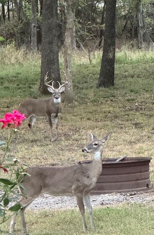 221 Greene Road, Weatherford, TX 76087