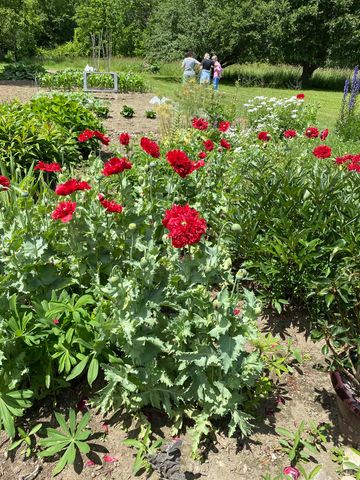 317 VT Route 110, Chelsea, VT 05038