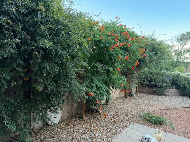 316 Cielito Lindo Place NW, Albuquerque, NM 87114