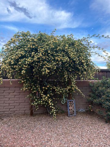 316 Cielito Lindo Place NW, Albuquerque, NM 87114