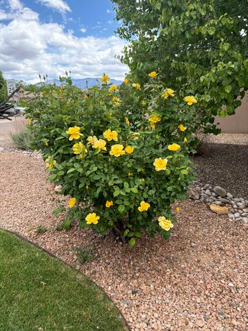 316 Cielito Lindo Place NW, Albuquerque, NM 87114