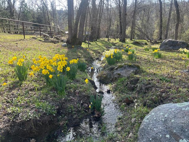 34405 Wild Rose Ln, North Fork, CA 93643